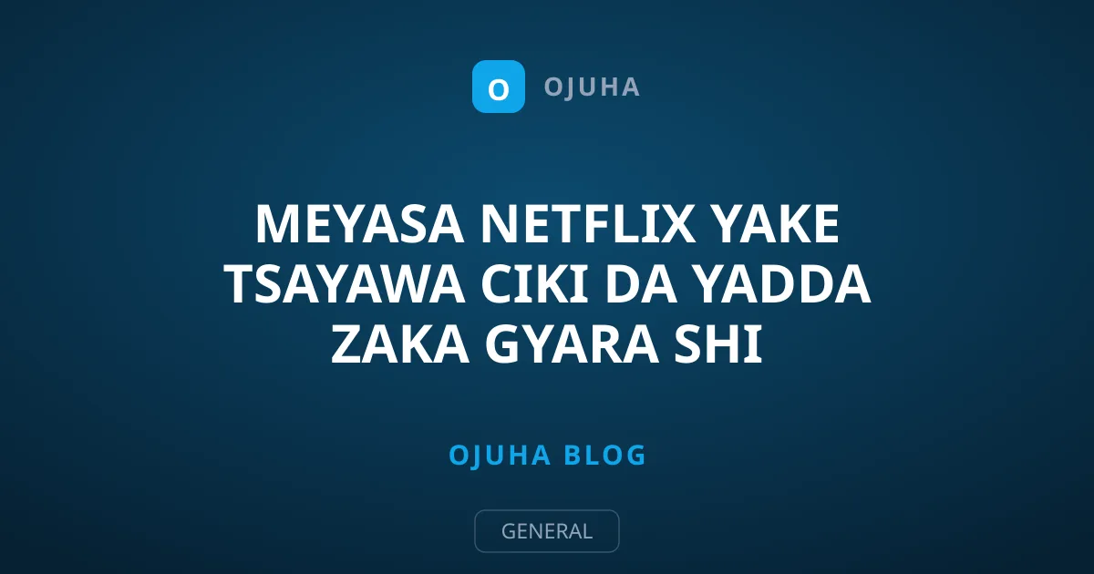 Meyasa Netflix Yake Tsayawa Ciki da Yadda Zaka Gyara Shi